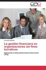 gestion financiera en organizaciones sin fines lucrativos