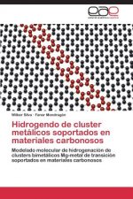 Hidrogendo de cluster metalicos soportados en materiales carbonosos