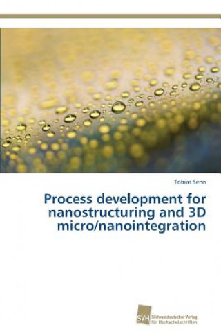 Process development for nanostructuring and 3D micro/nanointegration
