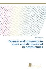 Domain wall dynamics in quasi one-dimensional nanostructures