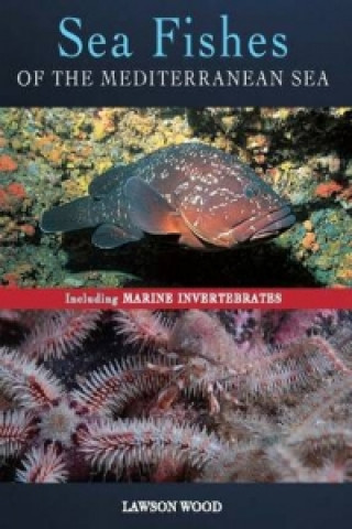 Sea Fishes Of The Mediterranean Including Marine Invertebrat