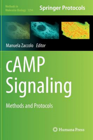 cAMP Signaling