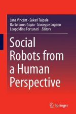 Social Robots from a Human Perspective