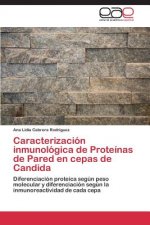 Caracterizacion inmunologica de Proteinas de Pared en cepas de Candida