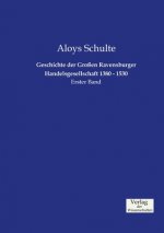 Geschichte der Grossen Ravensburger Handelsgesellschaft 1380 - 1530