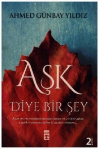 Ask Diye Bir Sey