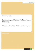 Bestimmung und Wechsel der Funktionalen Währung