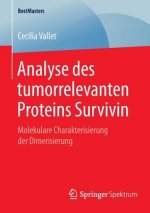 Analyse Des Tumorrelevanten Proteins Survivin