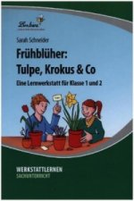Frühblüher: Tulpe, Krokus & Co