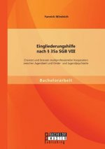 Eingliederungshilfe nach  35a SGB VIII