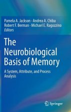Neurobiological Basis of Memory