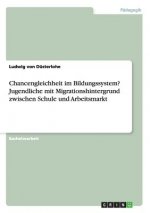 Chancengleichheit im Bildungssystem? Jugendliche mit Migrationshintergrund zwischen Schule und Arbeitsmarkt