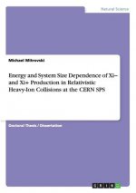 Energy and System Size Dependence of Xi- and Xi+ Production in Relativistic Heavy-Ion Collisions at the CERN SPS
