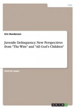 Juvenile Delinquency. New Perspectives from 