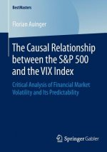 Causal Relationship between the S&P 500 and the VIX Index