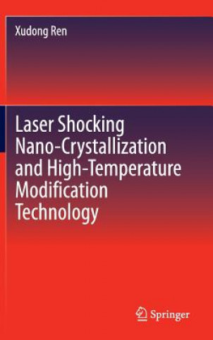 Laser Shocking Nano-Crystallization and High-Temperature Modification Technology