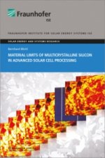 Material Limits of Multicrystalline Silicon in Advanced Solar Cell Processing.