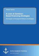 Look at Zambia's Road Financing Strategies