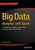 Big Data Analytics with Spark