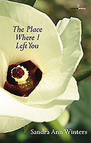 Place Where I Left You