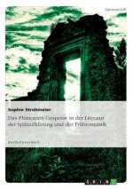 Das Phänomen Gespenst in der Literatur der Spätaufklärung und der Frühromantik