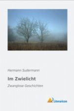 Im Zwielicht