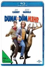 Dumm und Dümmehr, 1 Blu-ray