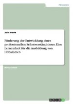 Foerderung der Entwicklung eines professionellen Selbstverstandnisses. Eine Lerneinheit fur die Ausbildung von Hebammen