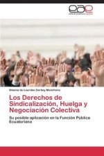 Derechos de Sindicalizacion, Huelga y Negociacion Colectiva