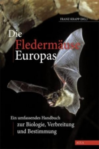 Die Fledermäuse Europas, DVD-ROM