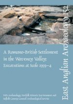 EAA 152: A Roman Settlement in the Waveney Valley