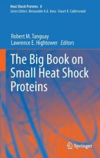 Big Book on Small Heat Shock Proteins