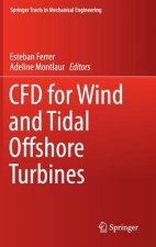 CFD for Wind and Tidal Offshore Turbines