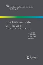 Histone Code and Beyond