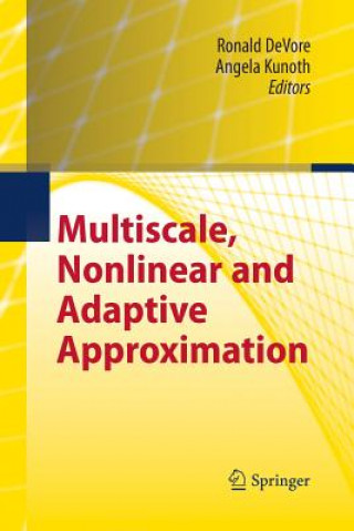 Multiscale, Nonlinear and Adaptive Approximation