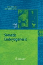 Somatic Embryogenesis