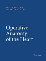 Operative Anatomy of the Heart