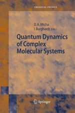 Quantum Dynamics of Complex Molecular Systems