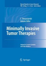 Minimally Invasive Tumor Therapies