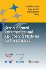 Service Oriented Infrastructures and Cloud Service Platforms for the Enterprise