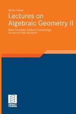 Lectures on Algebraic Geometry II