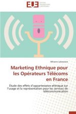 Marketing Ethnique Pour Les Operateurs Telecoms En France