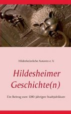 Hildesheimer Geschichte(n)