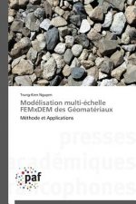 Modelisation Multi-Echelle Femxdem Des Geomateriaux