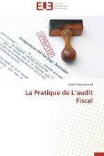 Pratique de l'Audit Fiscal
