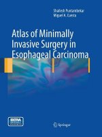 Atlas of Minimally Invasive Surgery in Esophageal Carcinoma