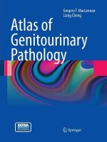 Atlas of Genitourinary Pathology