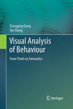 Visual Analysis of Behaviour