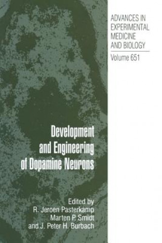 Development and Engineering of Dopamine Neurons