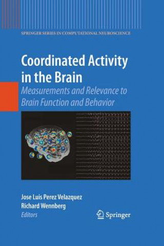Coordinated Activity in the Brain